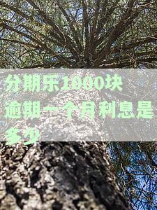 分期乐逾期一万多每月还几百？有效吗？影响征信吗？迟纳金多少？无法还款怎么办？