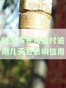 先用后付逾期一个月会怎么样？了解各大电商平台的处罚措施！