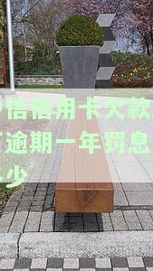 中信信用卡欠款2万逾期一年罚息有多少