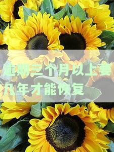 逾期3个月多久恢复？影响及解决办法全解析