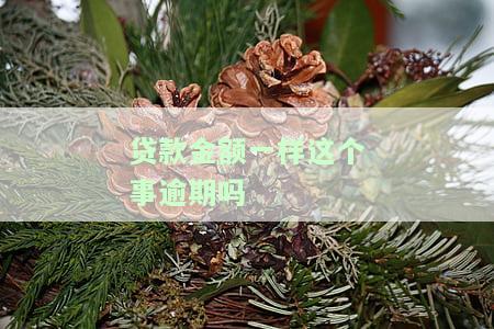 贷款金额一样这个事逾期吗