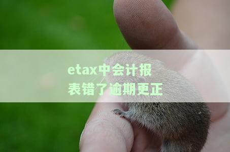 如何使用ETAX进行作废申报及更正申报？