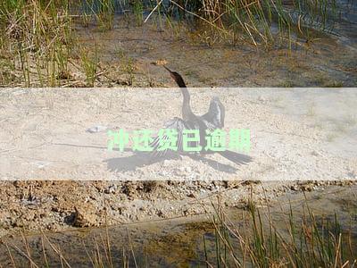 冲还贷能取消吗？了解其优缺点及影响