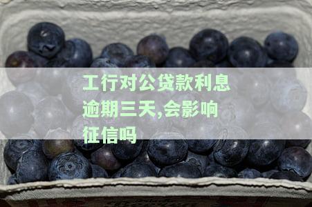 工行贷款逾期两天会有什么后果？会影响信用记录吗？