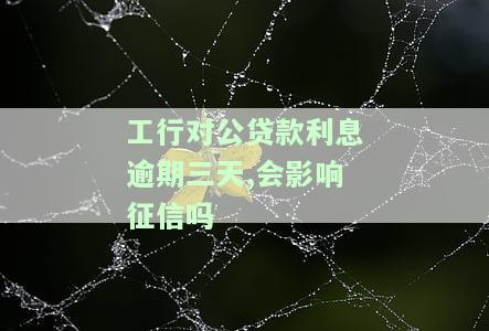 工行对公贷款利息逾期三天,会影响征信吗