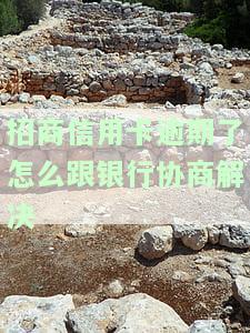 招商信用卡逾期后，如何通过电话与银行协商还款？
