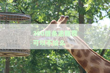 360借条逾期后是否需要一次性还清？了解相关风险及应对措施