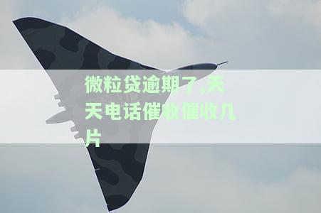 微粒贷欠款6000 逾期200天，每天被催收，是否合法？担心家人受影响