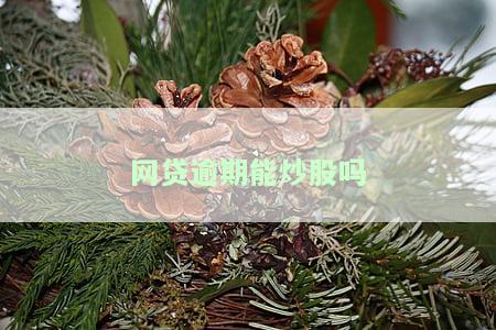网贷逾期能炒股吗-网贷逾期能炒股吗知乎