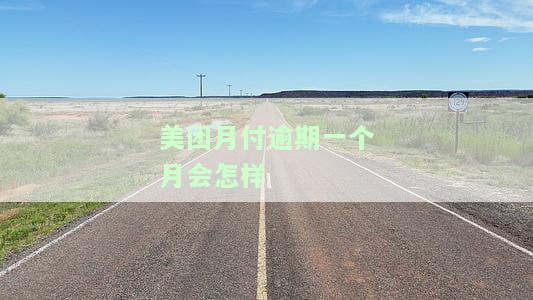 美团月付逾期一个月会怎样？影响征信、不能再使用吗？