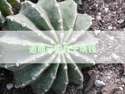 逾期一天几十块钱正常吗？法律如何规定逾期费用？