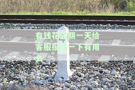 有钱花逾期一天就上报征信，会产生什么影响？