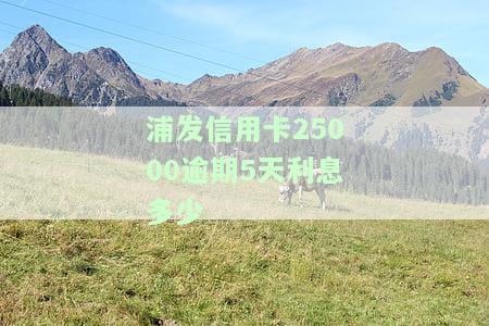 浦发信用卡2000逾期两年会产生什么后果？如何解决？