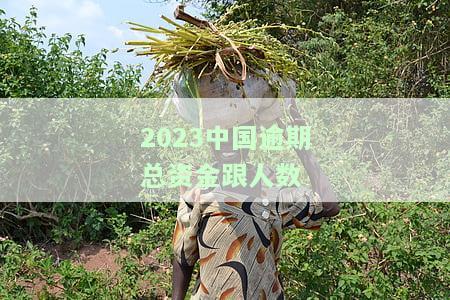2020年中国逾期状况：人数、银行数量及未还款金额全面解析