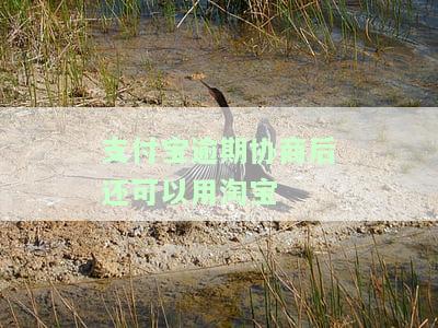 支付宝逾期暂时还不上如何与支付宝协商？