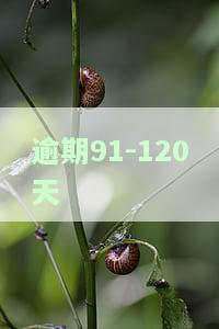 逾期1-90天还款顺序：按逾期时间长短排列