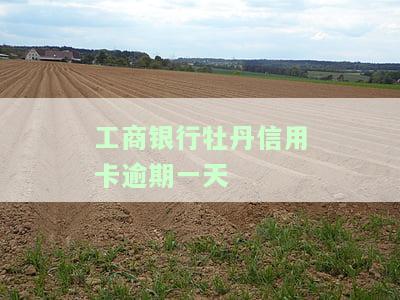 工商银行牡丹信用卡逾期一天有影响吗？还款宽限期是多久？