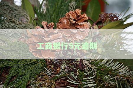 工商银行逾期10天,催款称逾期60天，怎么办？会通知家人吗？