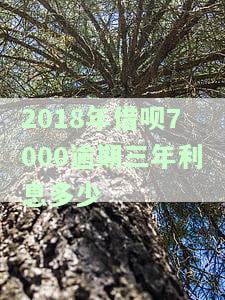 借呗3000元逾期一年如何处理？影响严重吗？