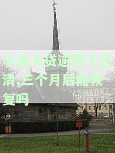 小赢卡贷逾期了还清,三个月后能恢复吗-小赢卡贷逾期了还清,三个月后能恢复吗