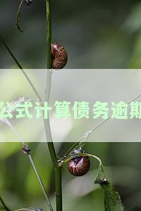逾期的计算公式：详解及常见情况分析