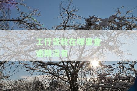 如何查询工行贷款的逾期及未逾期记录、剩余还款金额？