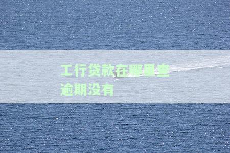 如何查看工行贷款情况及进度记录？