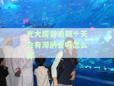光大银行房贷逾期一天会进入征信系统吗？影响及后果解析