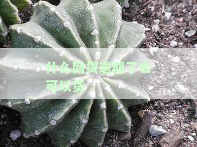什么网贷逾期了也可以贷