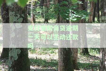支付宝网商贷逾期一天后果严重：是否会影响征信及还款？