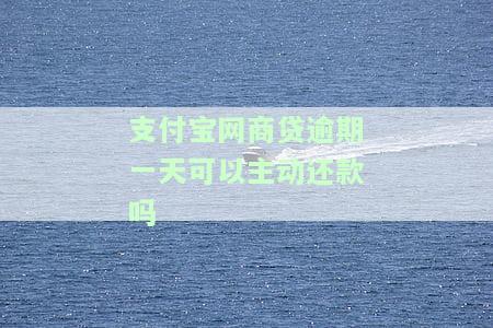 支付宝网商贷逾期一天可以主动还款吗-支付宝网商贷逾期一天可以主动还款吗