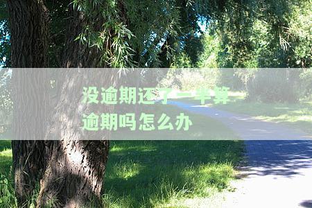 没逾期还了一半算逾期吗？如何解决？