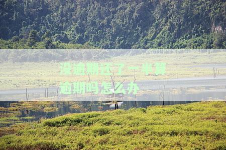 没逾期还了一半算逾期吗怎么办