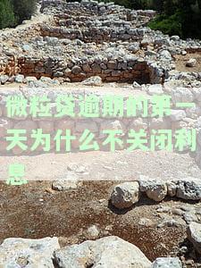 为什么微粒贷逾期一天就不能借钱了？显示逾期一天不让还款的情况是什么？