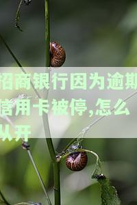 招商银行因为逾期信用卡被停，怎么从开-招商银行因为逾期信用卡被停,怎么从开户