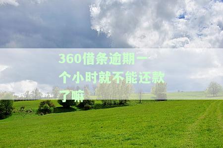 360借条逾期一个小时就不能还款了嘛-360借条逾期一个小时就不能还款了嘛怎么办