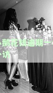 小鹅花钱逾期一年外访-小鹅花钱逾期半年外访