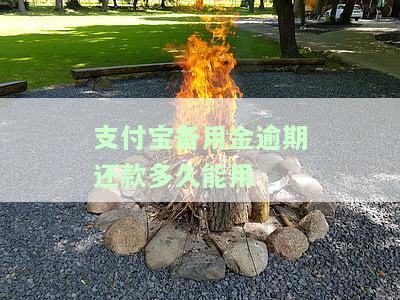 支付宝备用金逾期还款多久能用借呗？还清后多久可以再借？逾期后还款了多久可以继续使用花呗？