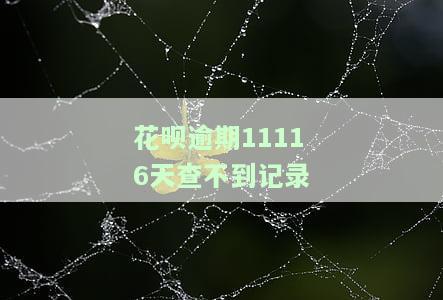 花呗逾期11116天查不到记录，怎么办？