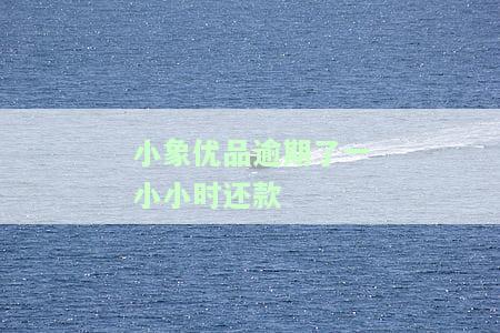 小象优品逾期一小小时还款有影响吗？影响及解决方法全解析