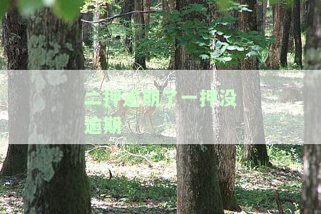 二押逾期未还，一押正常，是否会面临起诉？房屋抵押被诉如何保住房产？二抵陷阱多，强制执行困难重重。
