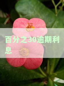 利息超过30%：警惕高利贷风险，避免陷入财务危机