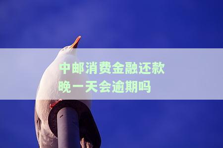中邮消费金融还款晚一天会逾期吗？如何处理？