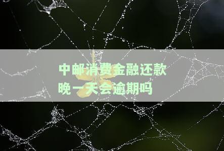 中邮消费金融还款晚一天会逾期吗？影响及解决办法全解析