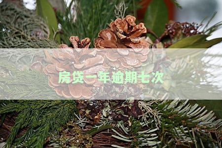 房贷一年内逾期6次：后果、解决办法与累计逾期处理