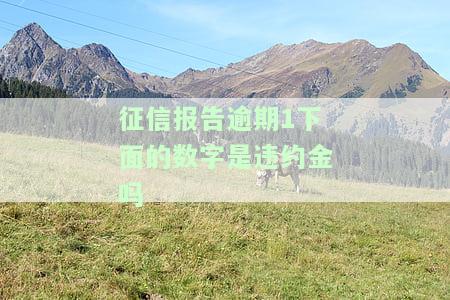 征信报告逾期数字下面的数字含义解析