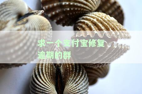 求一个支付宝修复逾期的群