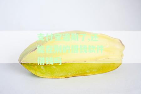 支付宝逾期后能在其他借钱软件借款吗？解决办法是什么？