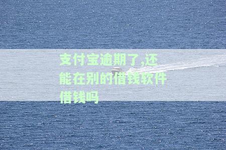 支付宝逾期了,还能在别的借钱软件借钱吗