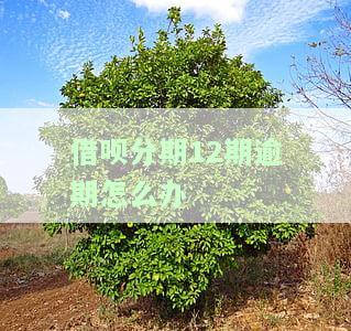 借呗分期12月逾期三期：影响及解决方法